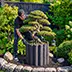 DIY Cement Planter