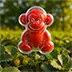 Fruit Mold
