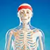 Skeleton Shorts