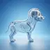X-Ray Animal Reference