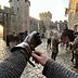 Historical POV Shorts